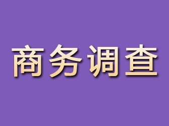 武冈商务调查